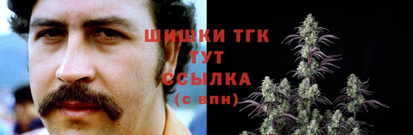 стафф Аркадак
