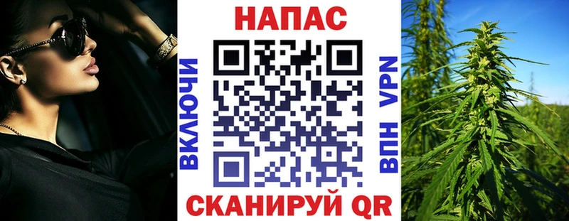 Каннабис MAZAR  Бавлы 